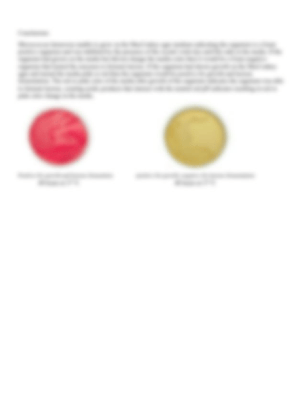 MacConkey agar test.pdf_dqwbxuhqzfb_page2