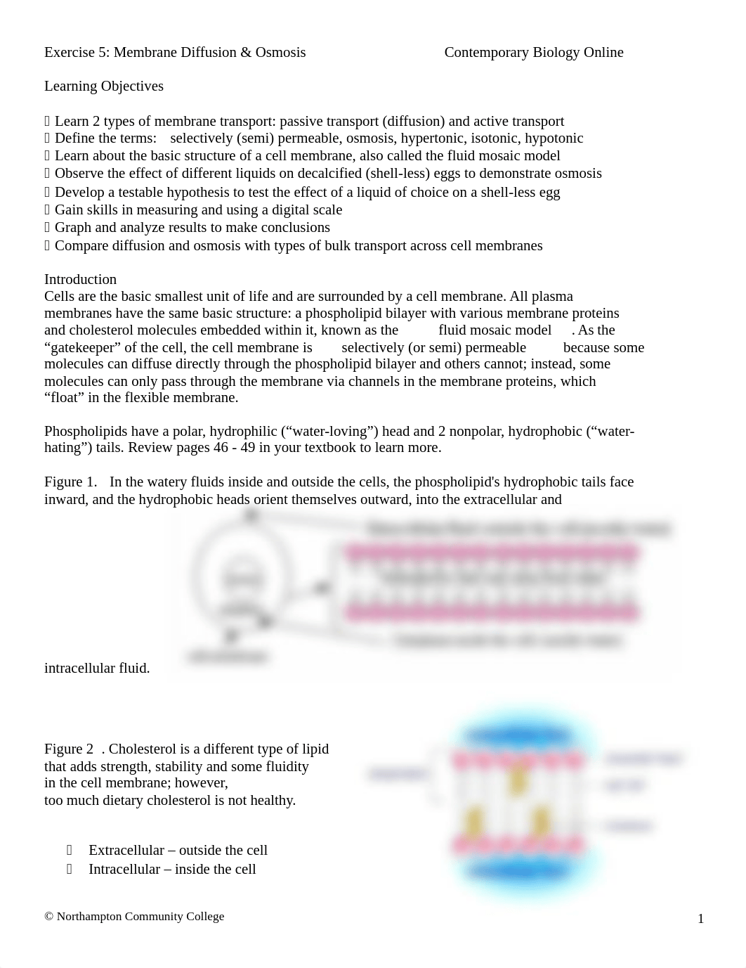 Lab 5 Membrane Diffusion and Osmosis Contemporary Biology Online(1) (3) (2).docx_dqwkekz1kpc_page1