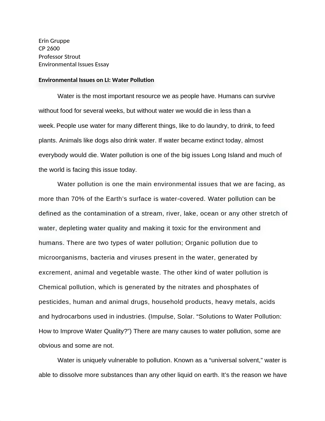 environmental issues essay.docx_dqwwip225da_page1