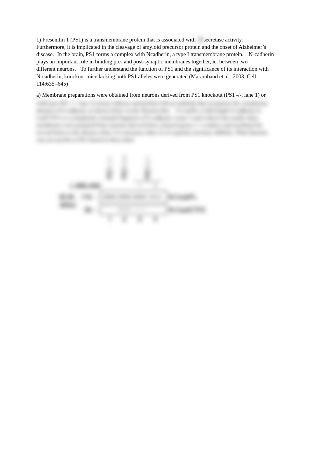 Exam 1 Bio 202 Spring 2017_dqwwl3wbs57_page2