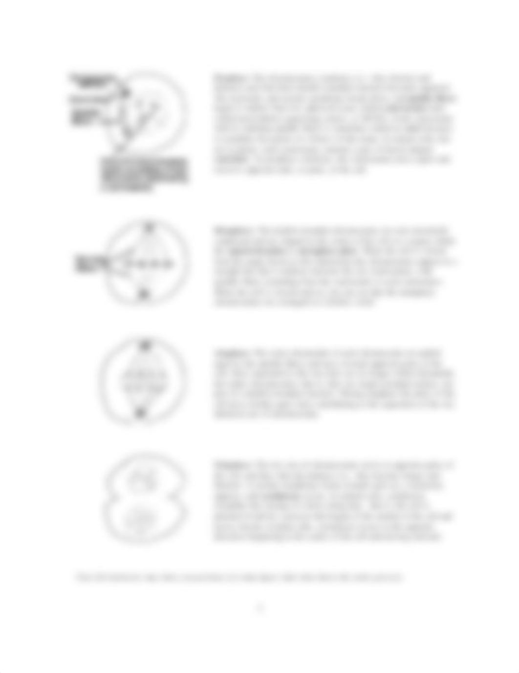 Ex5_MitosisMeiosis.pdf_dqxbvw0ycp6_page2