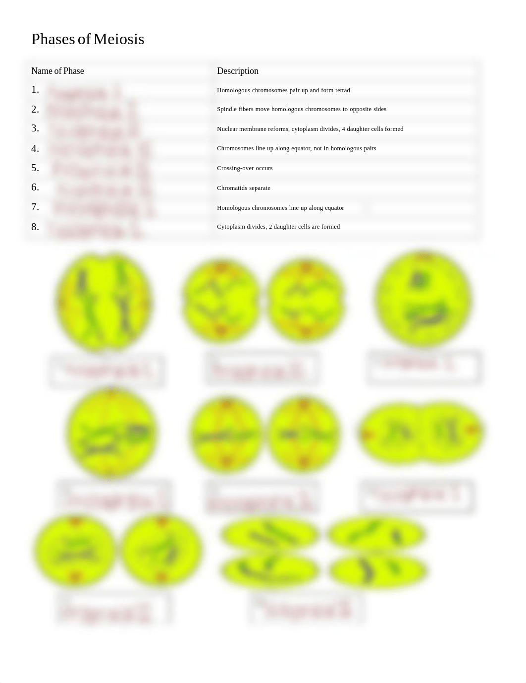 Review_Lecture 19.pdf_dqxi4pqpxv2_page1