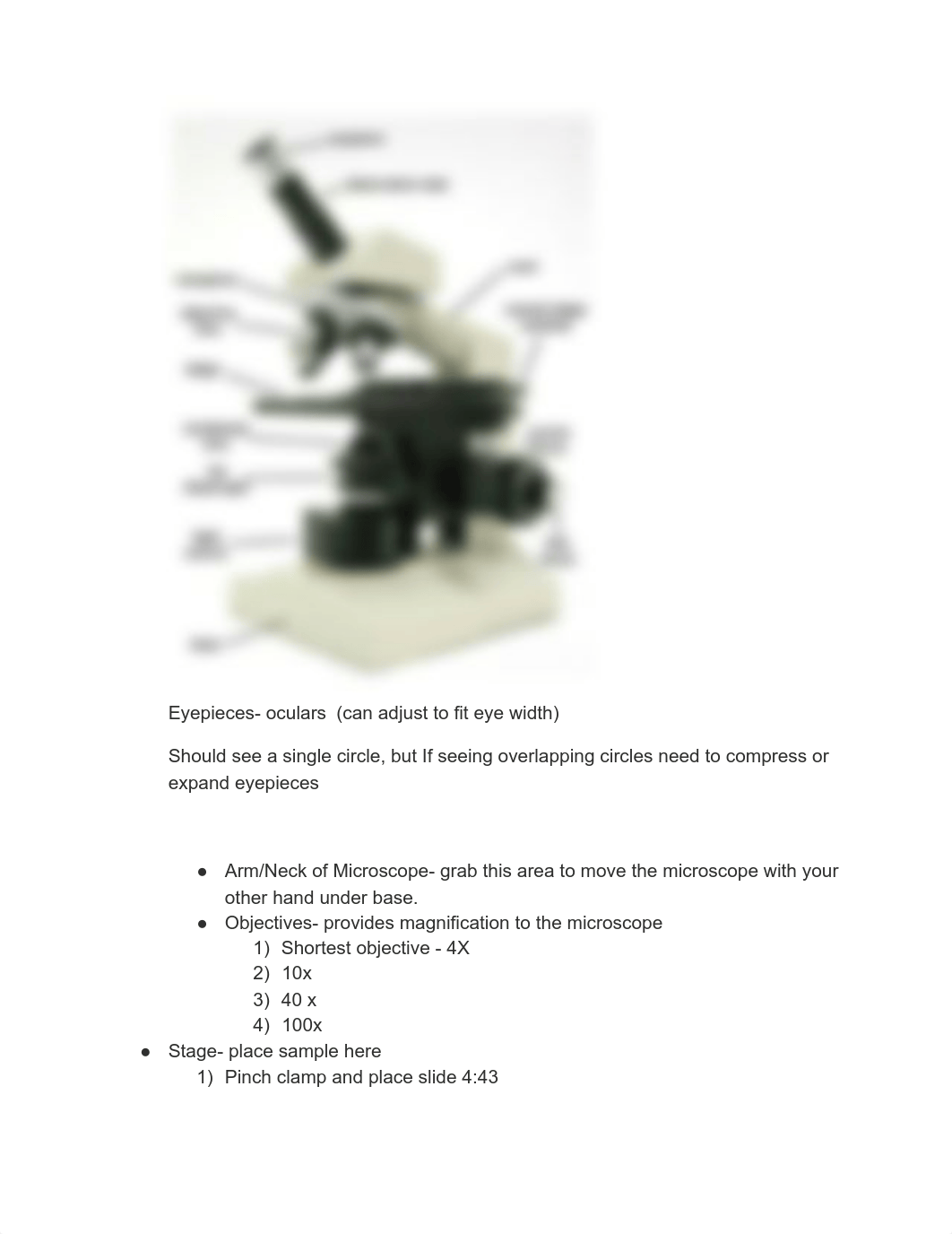 Microbio Lab 2 Notebook.pdf_dqxj1olm7lp_page2