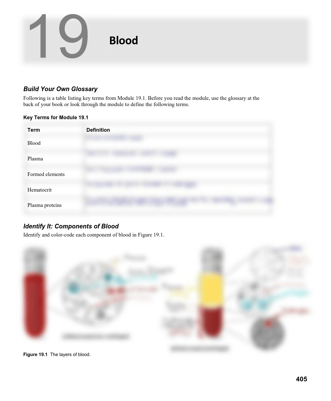 Blood_ Hematology 19 Worksheet.pdf_dqxmc57z2fb_page1