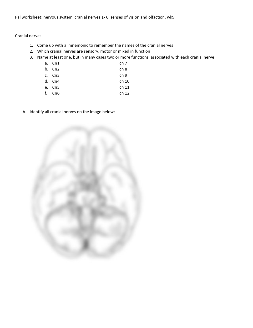 pal-worksheet-nervous-system-cranial-nerves-1-to-6-vision-olfaction,-wk9(1).pdf_dqxu1yyjgym_page1