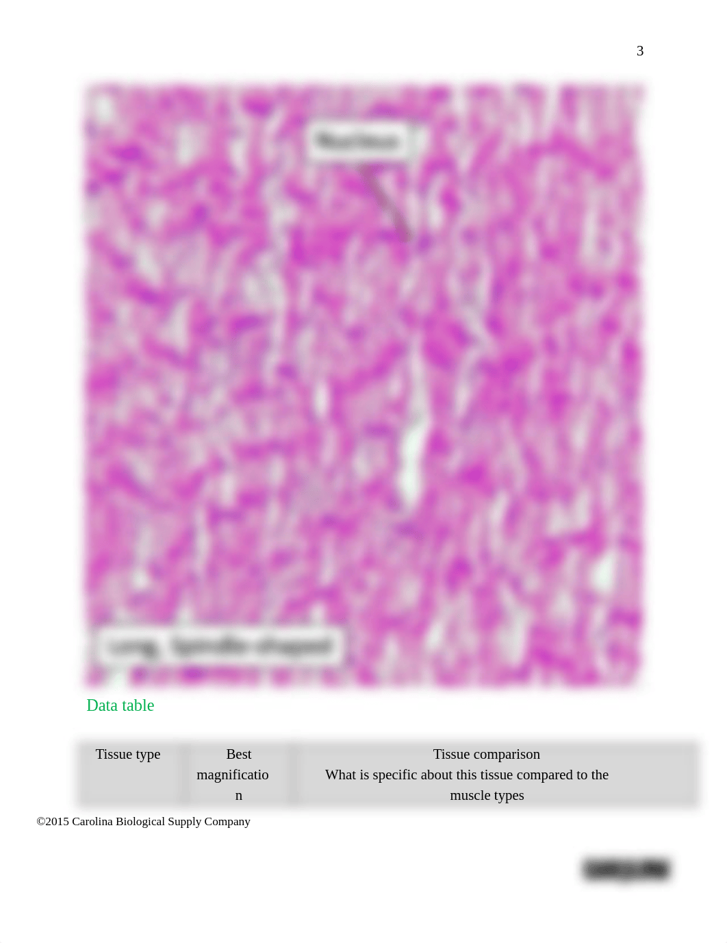 Muscle_Lab_Answer_sheet_dqxw6z6g6qk_page3