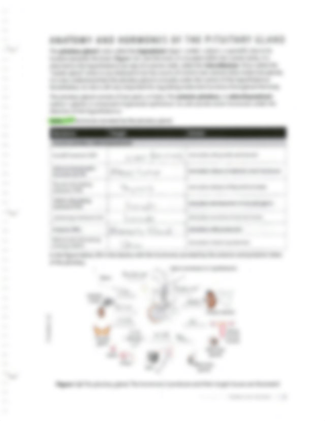 Chapter 16- Endocrine System.pdf_dqy0k8qkop9_page4