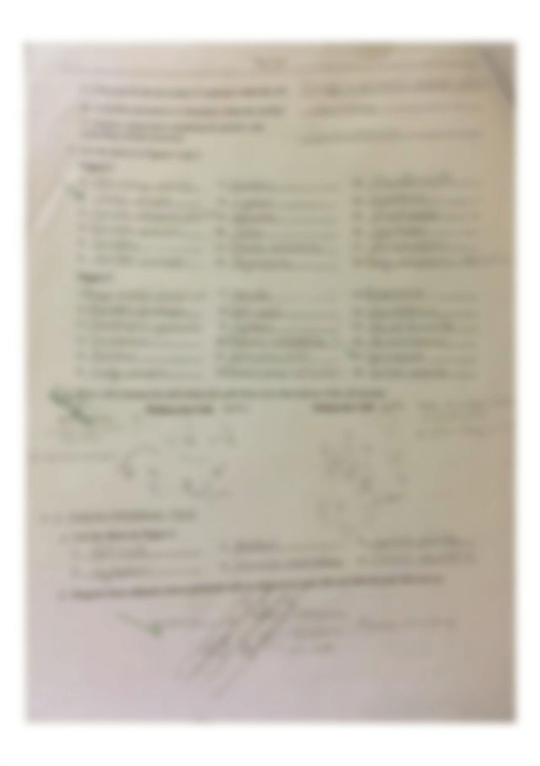 Labeling Cell Structures_dqy3bf7rjsq_page1