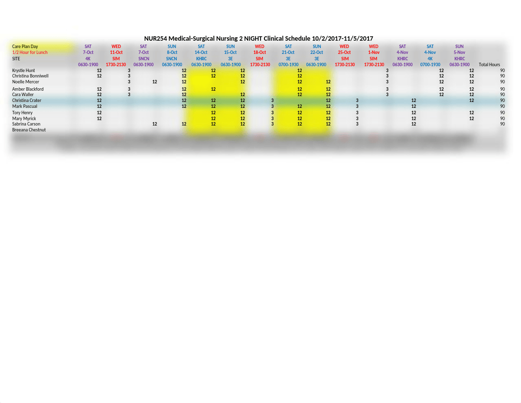 NUR254 Clinical Schedule Night 10.9.2017 10+10Assignmets.xlsx_dqyaen9w92a_page1