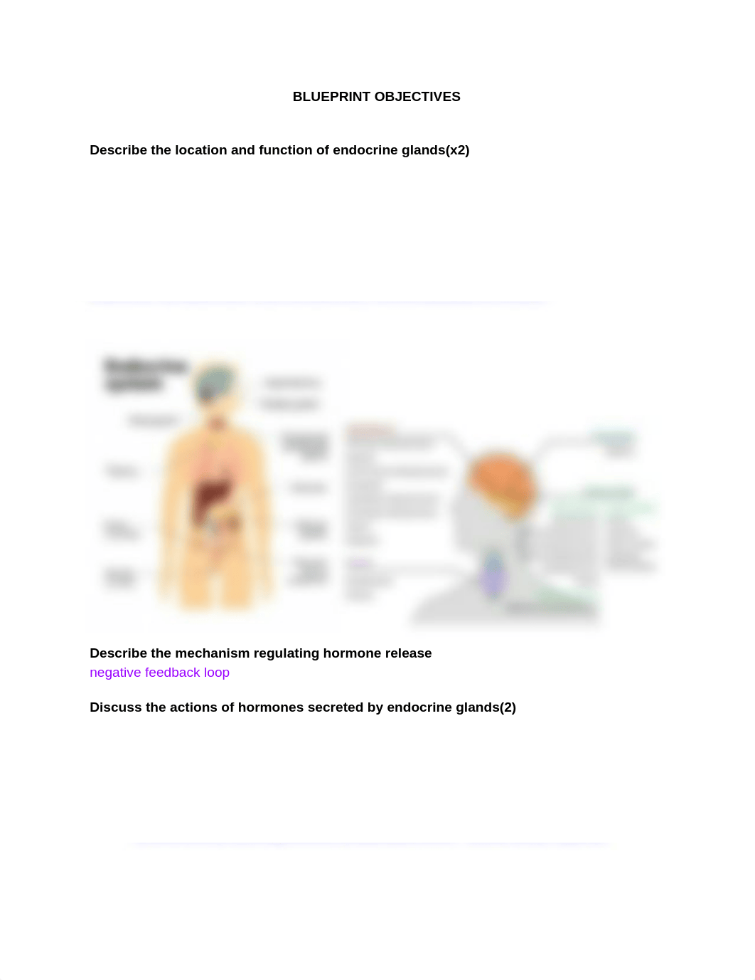 Med Surg Exam 4 (3).docx_dqyc1xsjtog_page1