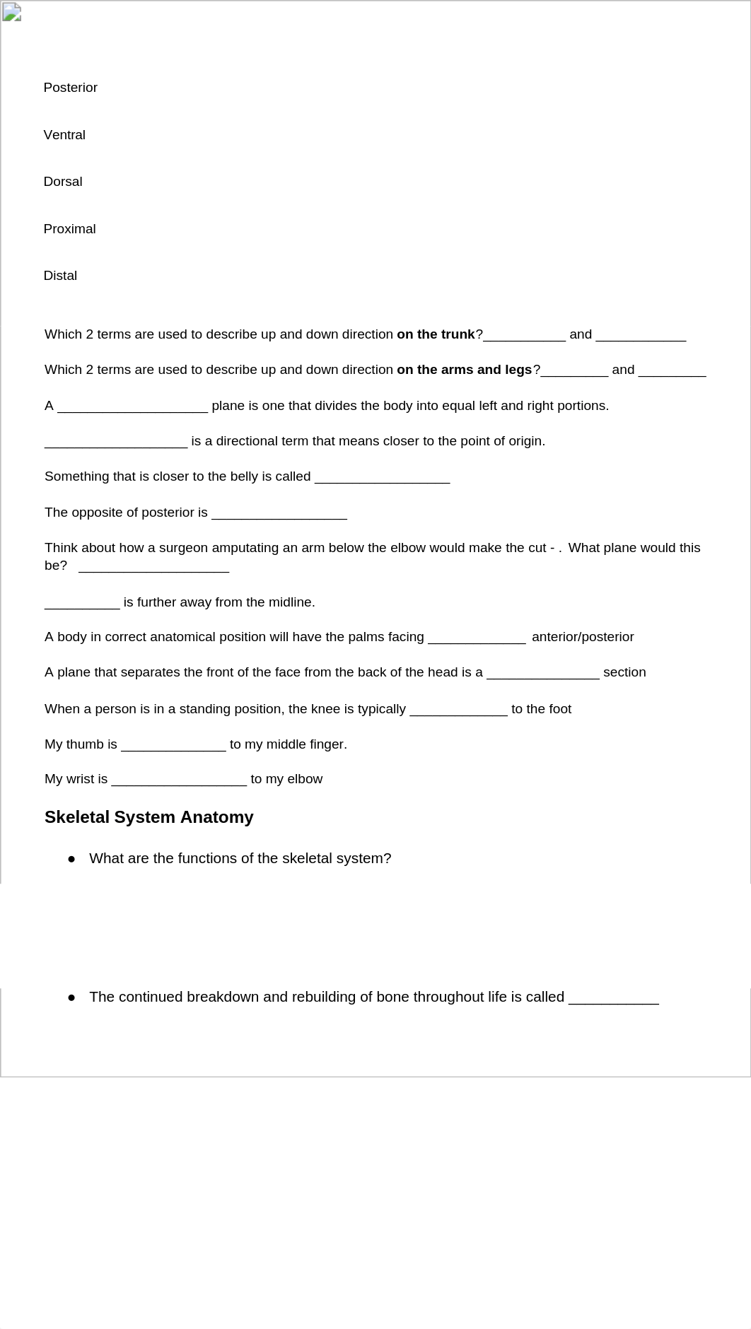 Ch. 12 AVQ --> Study Guide - Skeletal.docx_dqyivz6eico_page2