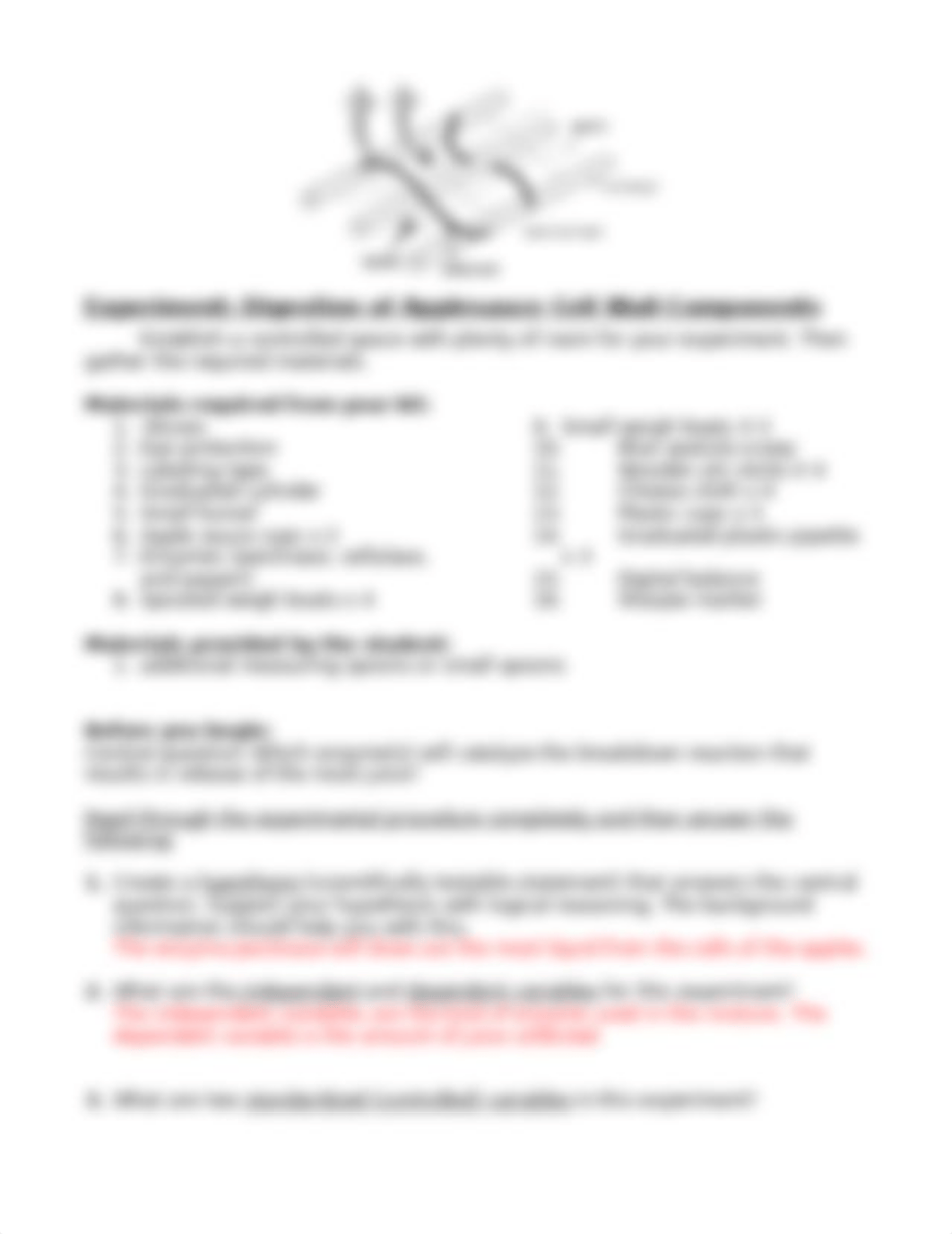 Bio 1041 molecules of life lab 4.docx_dqyl1fm3udq_page3