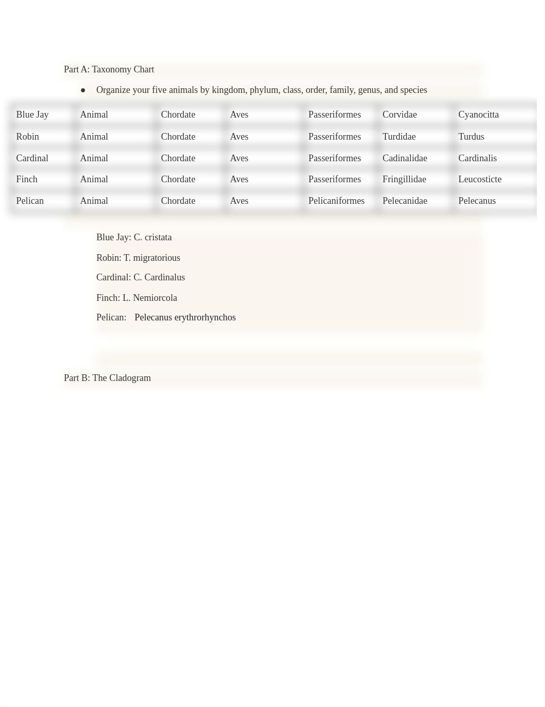 06.01 Classification.pdf_dqyxxicvwr8_page1