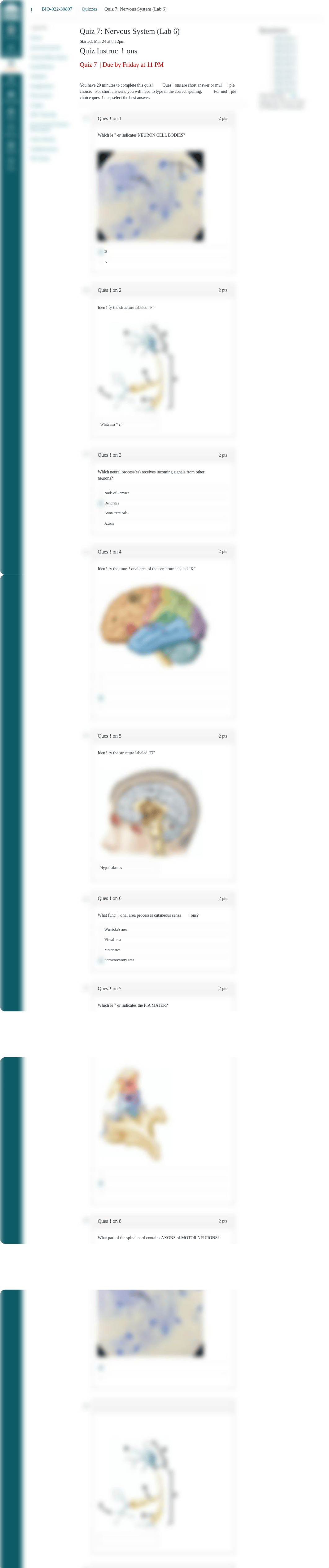 Quiz: Quiz 7: Nervous System (Lab 6).pdf_dqz7wwwuy7k_page1