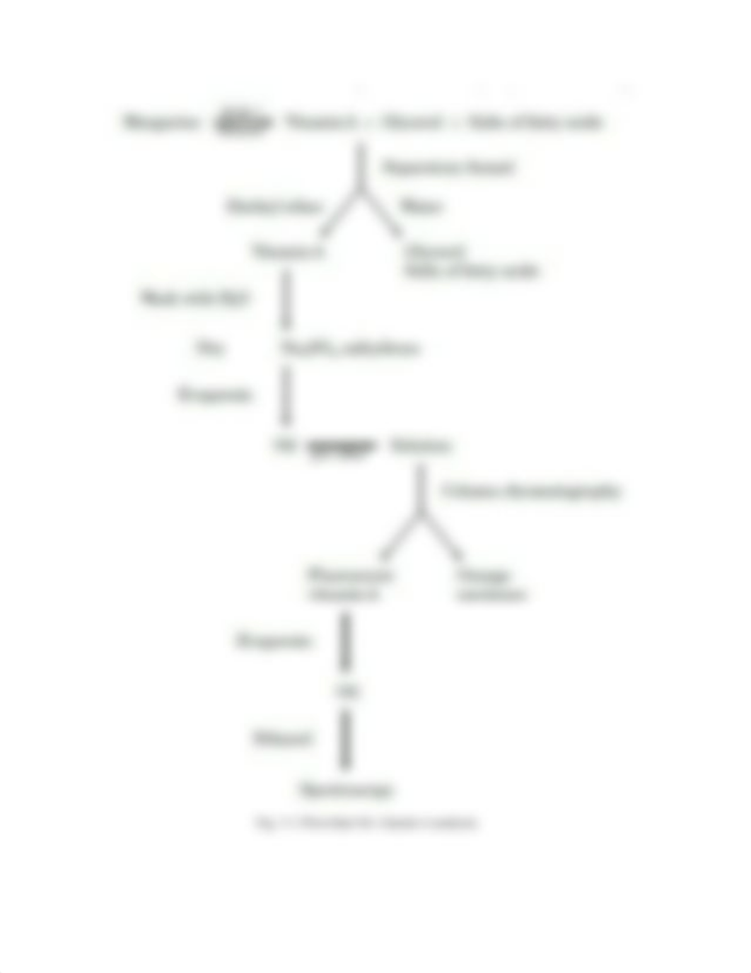 Lab_Exercise_5_Analysis_of_Vitamin_A_in_Margarine_(3).docx_dqz9i6wnjf1_page5