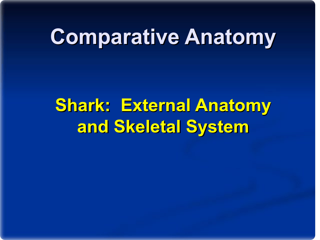 Shark External Anatomy and Skeletal System_dqzbwowh687_page1