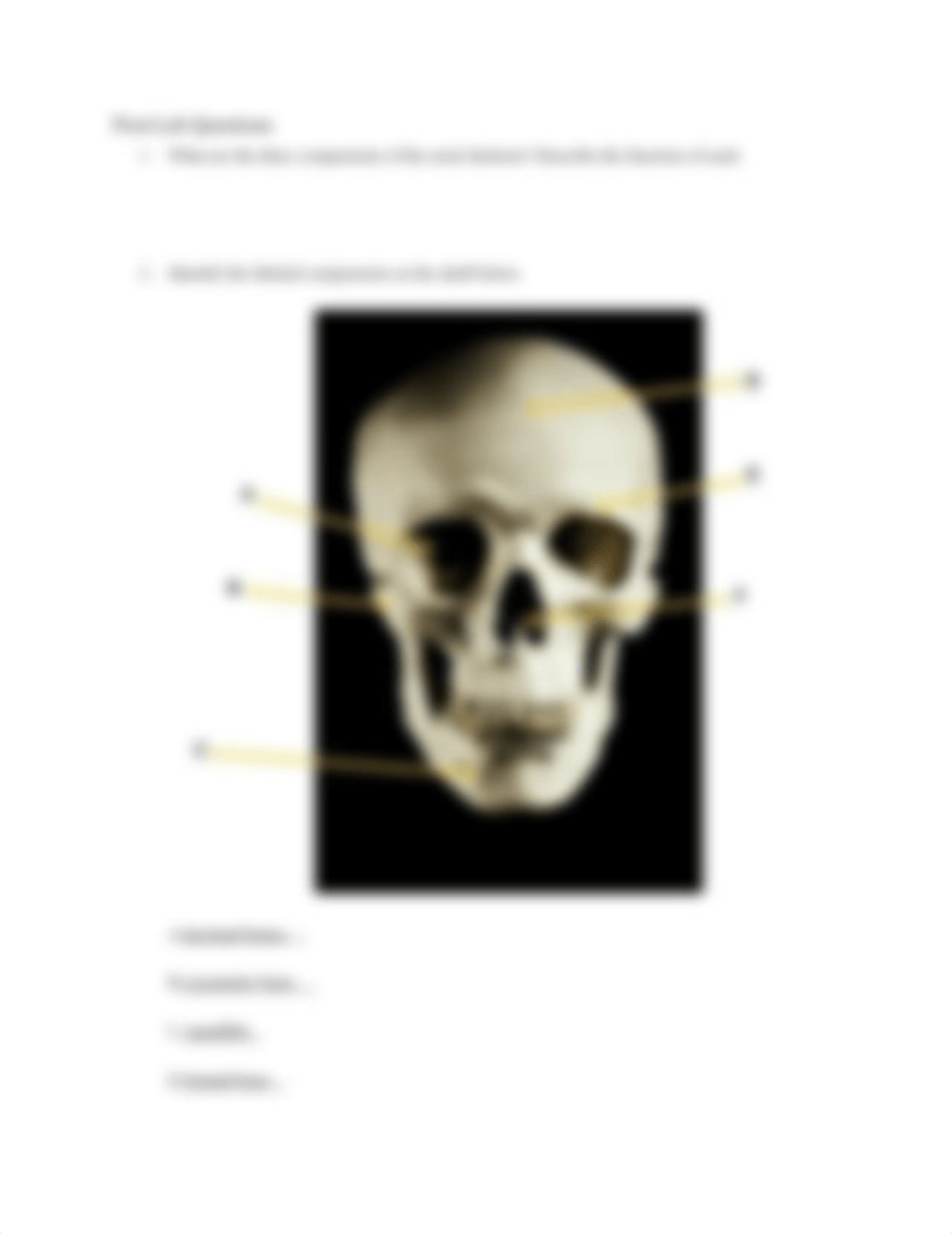 Experiment_5_Data_Tables_and_Assessmentlab6.docx_dqzg8zx7gf4_page3