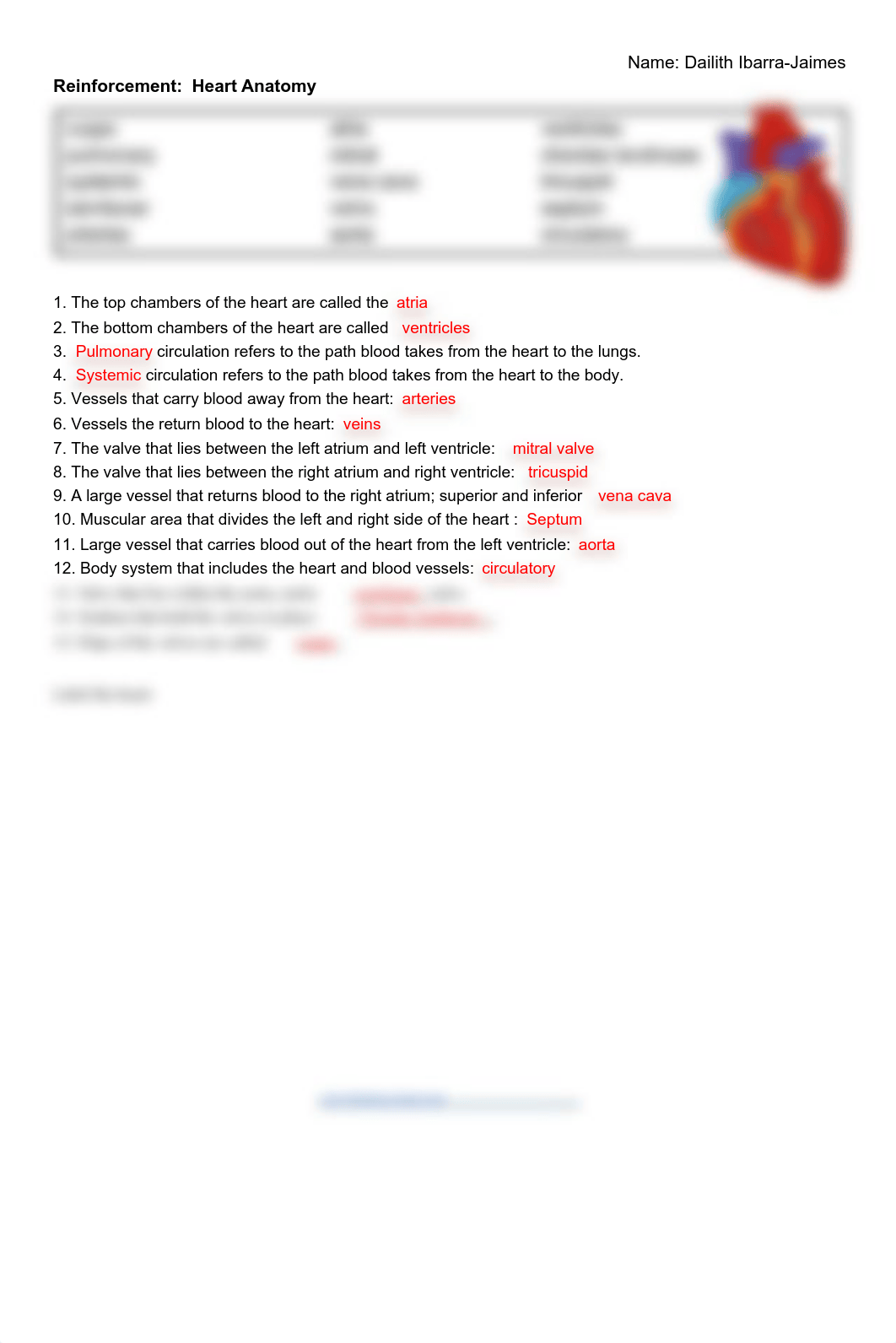 Reinforcement_  Heart Anatomy DONE.pdf_dqzhimvhhfq_page1