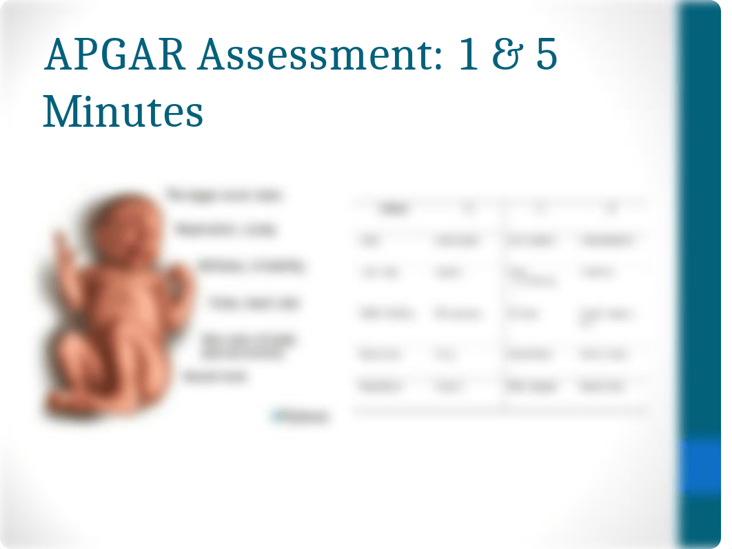 Reproduction Newborn Student.ppt_dqzjaiz4g5e_page5