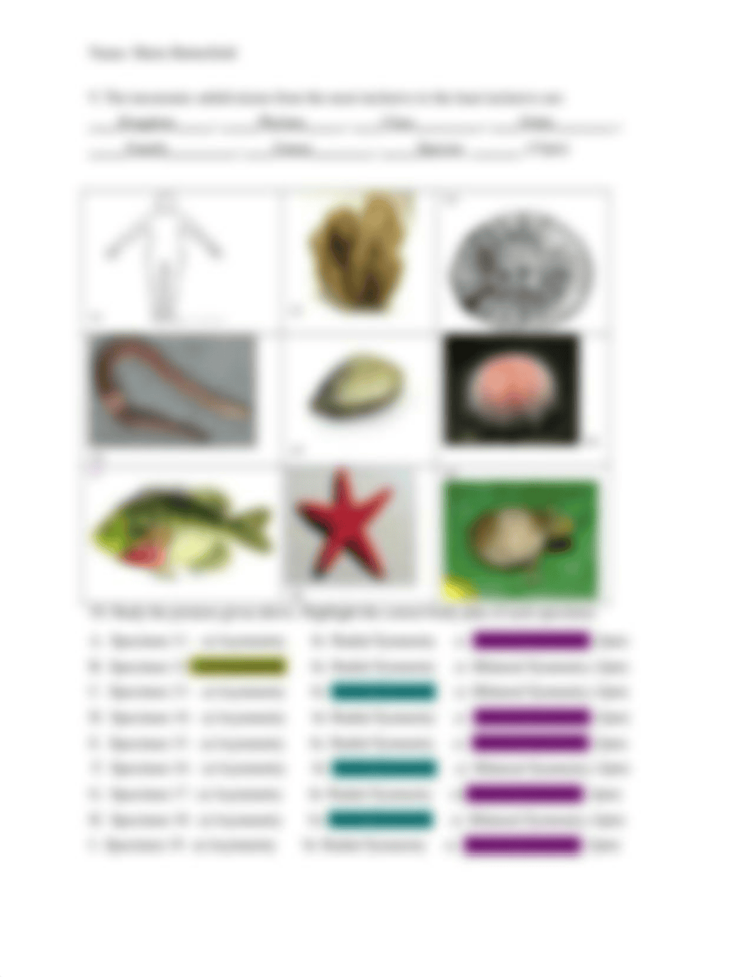 Marie Butterfield-Bio 110 Taxonomy Pre-Lab 5 .docx_dqzl3rfhiky_page2