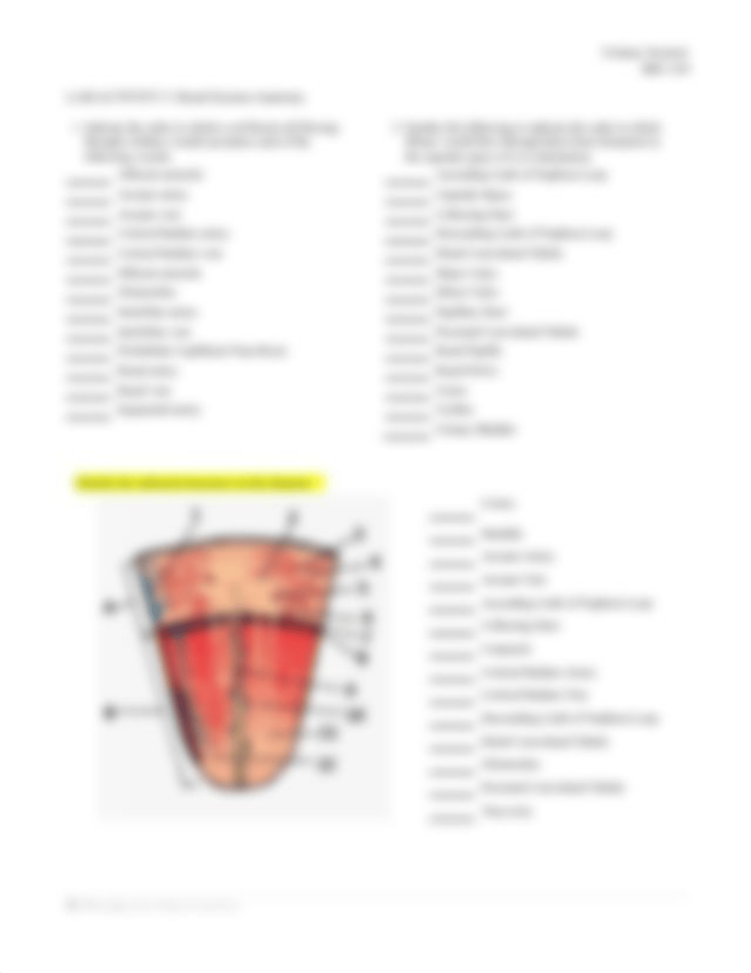 BIO 169 9- Urinary System SP21_editedKA.pdf_dqzm69v9l2v_page5