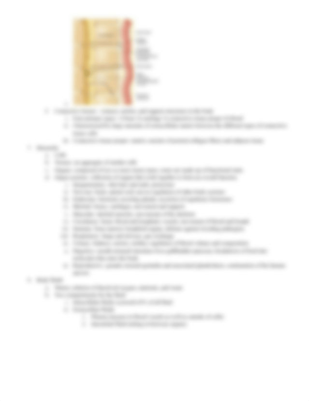 Physiology Exam 1 Study Guide.docx_dqzv75rwwhv_page3