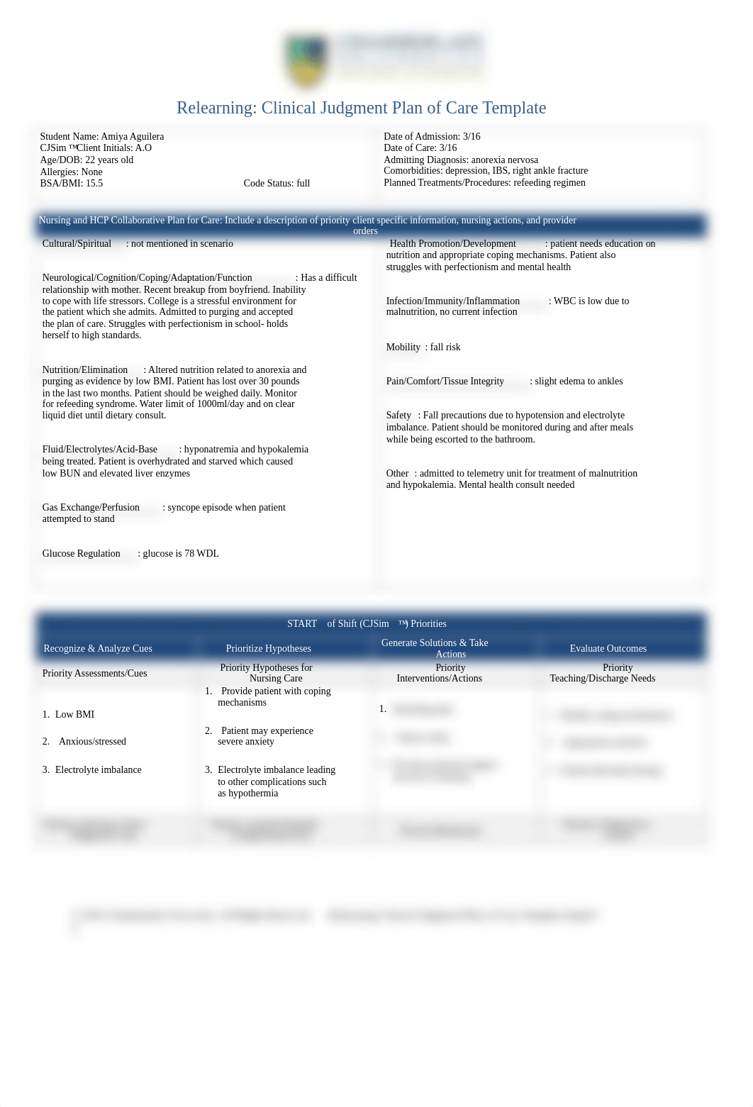 AO MH Relearning_Clinical_Judgment_Plan_of_Care_Template_Sept23.docx_dr07g6jx8jp_page1