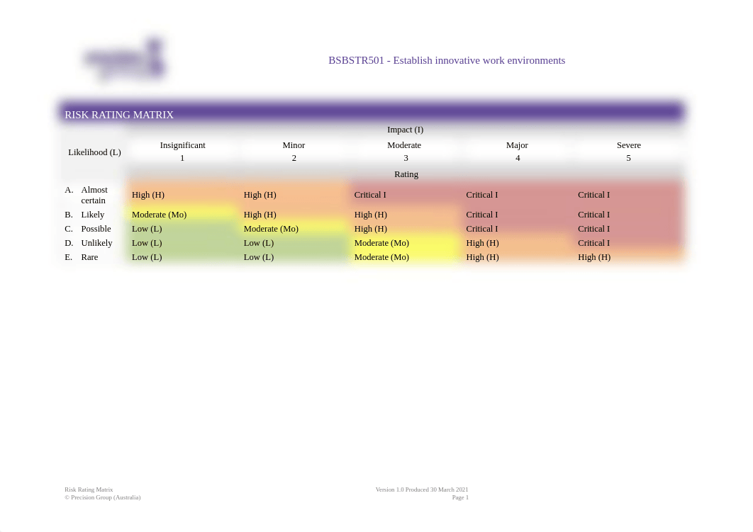 STR501-Risk-Rating-Matrix.docx_dr07n1as4gn_page1