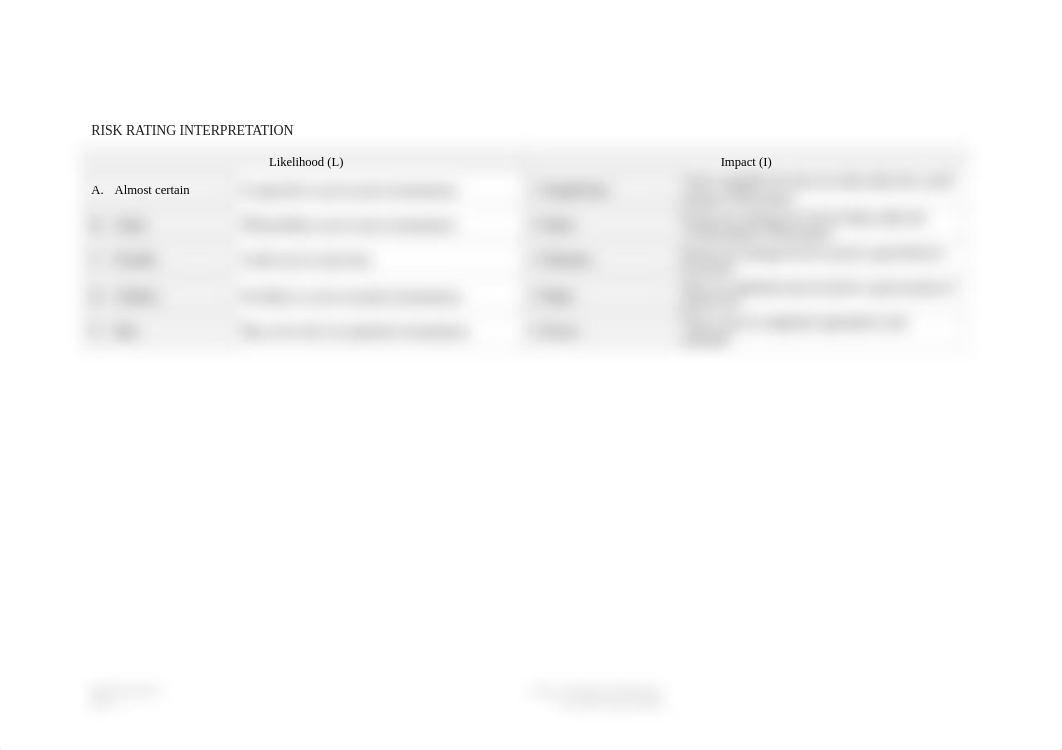 STR501-Risk-Rating-Matrix.docx_dr07n1as4gn_page2