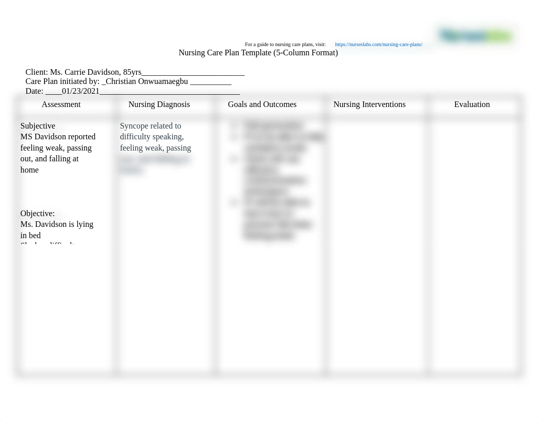 Nursing-Care-Plan-Templates-and-Formats_(1)_dr0hnnpprco_page2