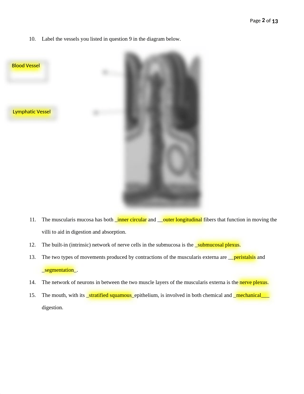 Digestive System Worksheets.docx_dr0kew2t6o2_page2