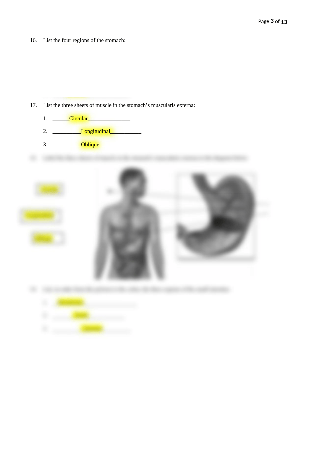 Digestive System Worksheets.docx_dr0kew2t6o2_page3