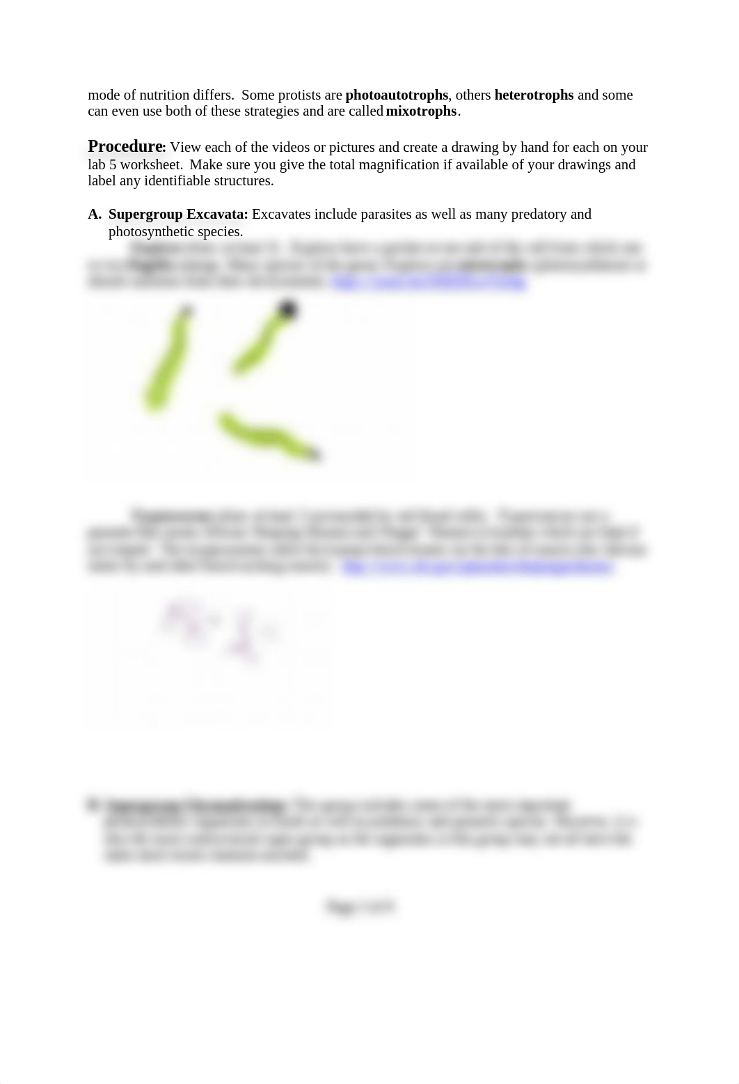 Lab 5-protists (2).doc_dr0luktzyso_page2