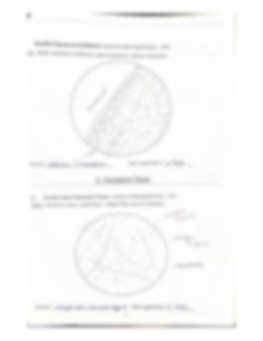 Stratified Squamous Epithelium viewed at total magnification x400..pdf_dr0vtmb1cid_page1