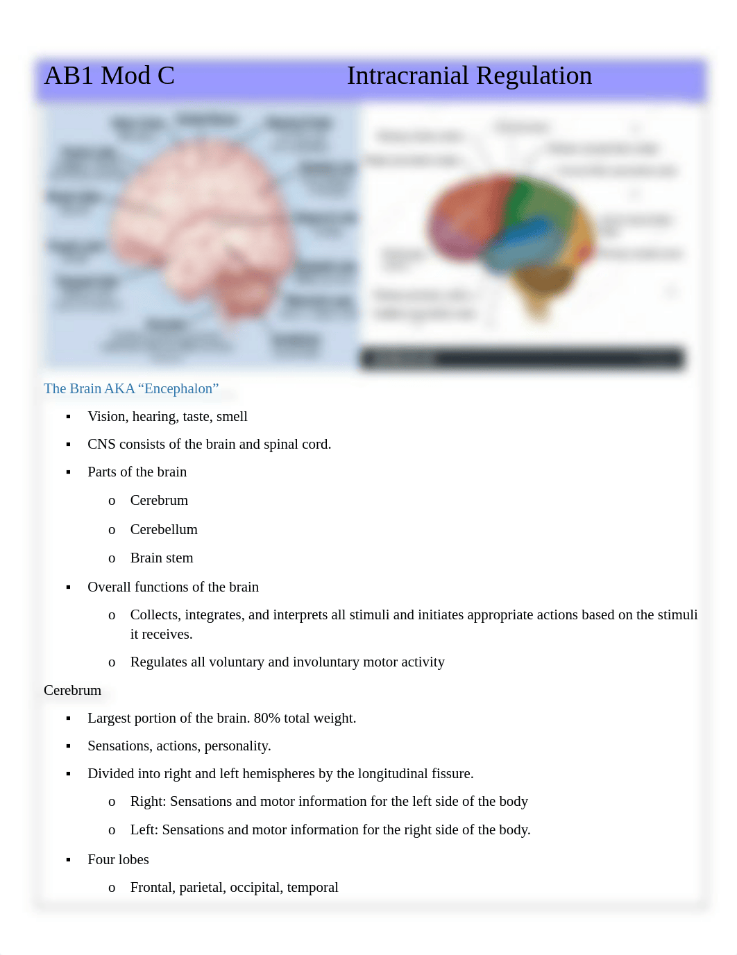 Mod C Intracranial Regulation (1).docx_dr0xtbeyjha_page1