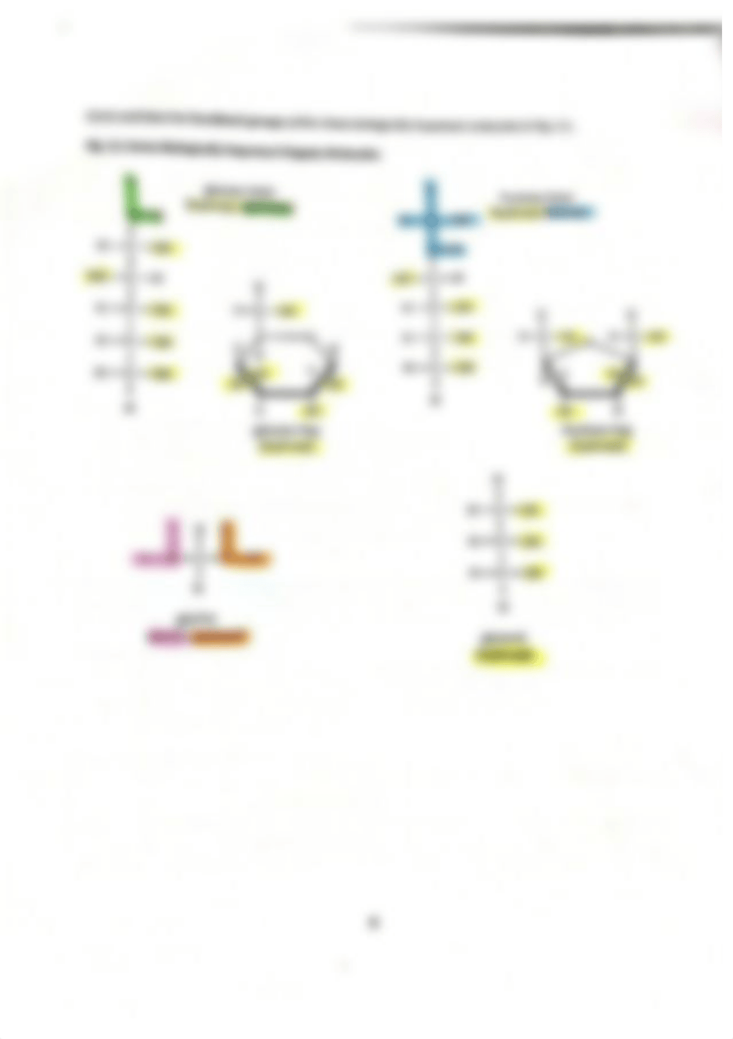 Lab 2- Functional Groups, Organic Molecules, Buffers, and Dilutions_dr0ypceh2q6_page4