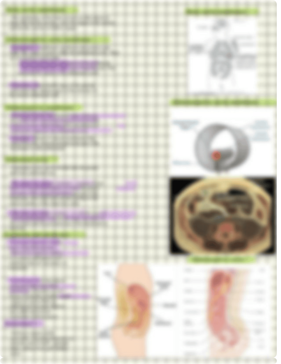 Cross Sectional Anatomy .pdf_dr10r763df7_page3