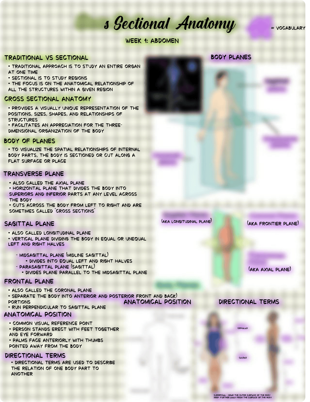 Cross Sectional Anatomy .pdf_dr10r763df7_page1