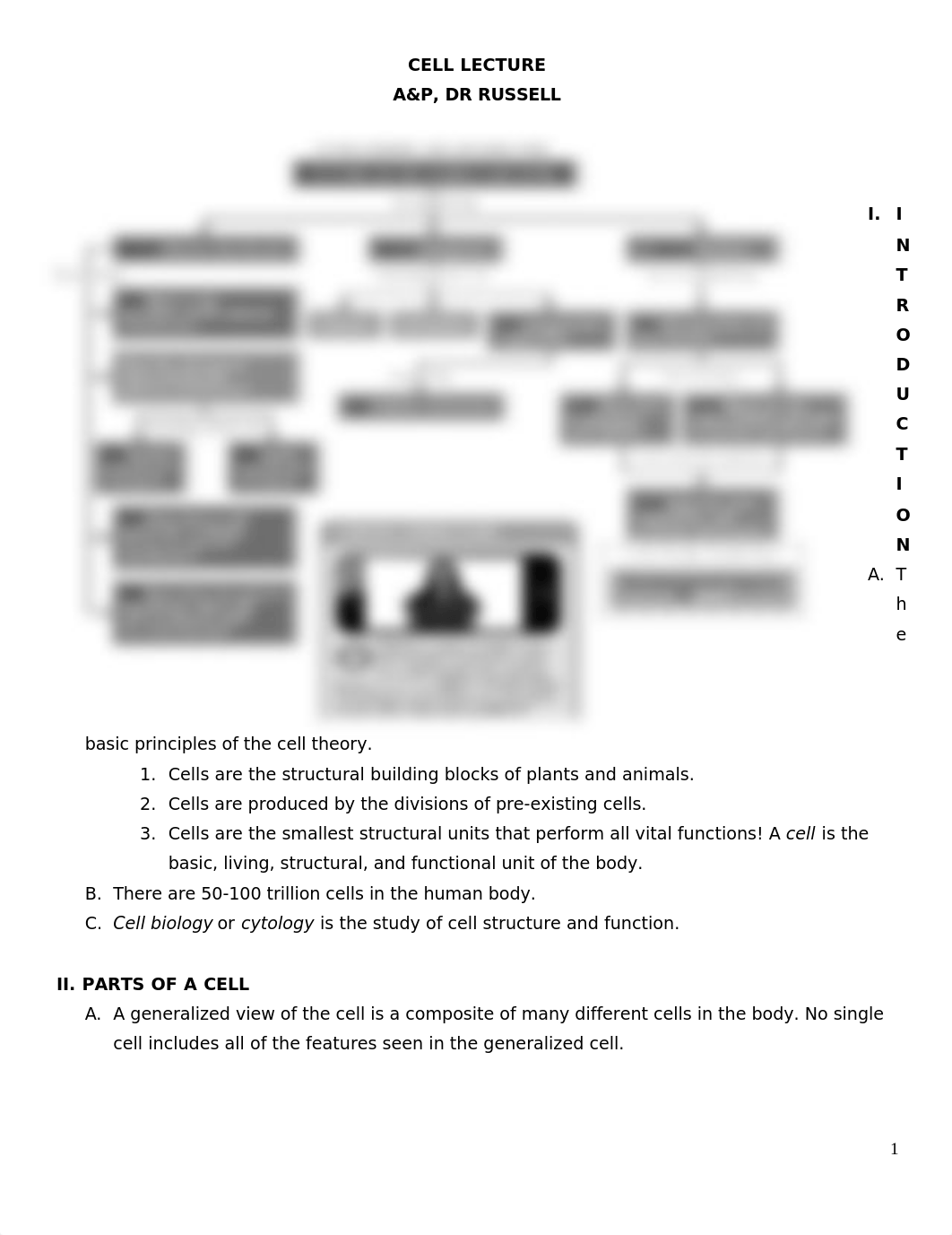 Cell Notes Sum19.docx_dr1avtxj49t_page1