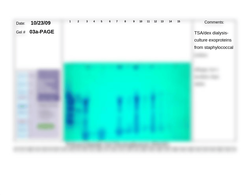 06x_PAGE 15 WELL GEL_TEMPLATE_2009_dr1dd41fja1_page1