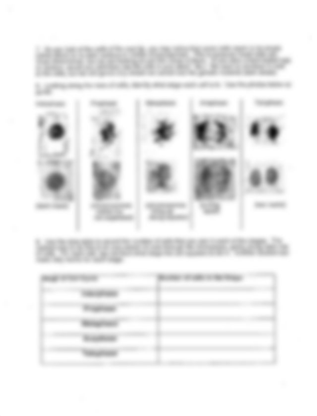 Mitosis and Dragon Genetics labs_dr1n70i6bcf_page2