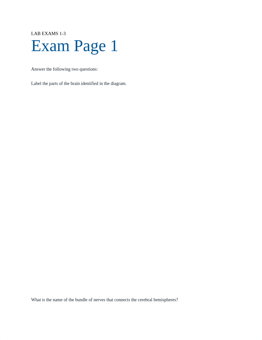 LAB EXAMS 1-5.docx_dr1o3hdlqtn_page1