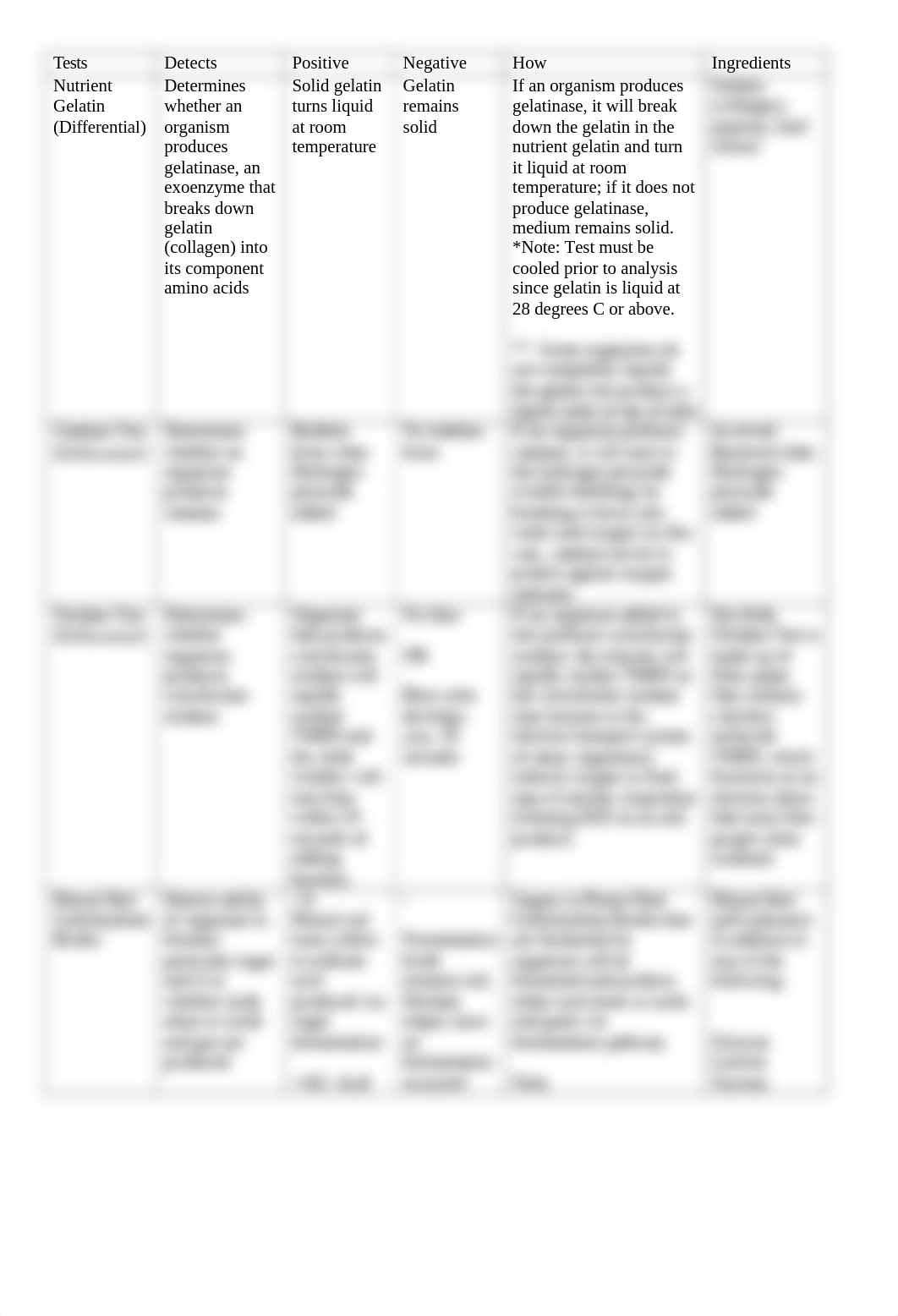 BI234LabStudyGuide.doc_dr1s74hnjun_page2