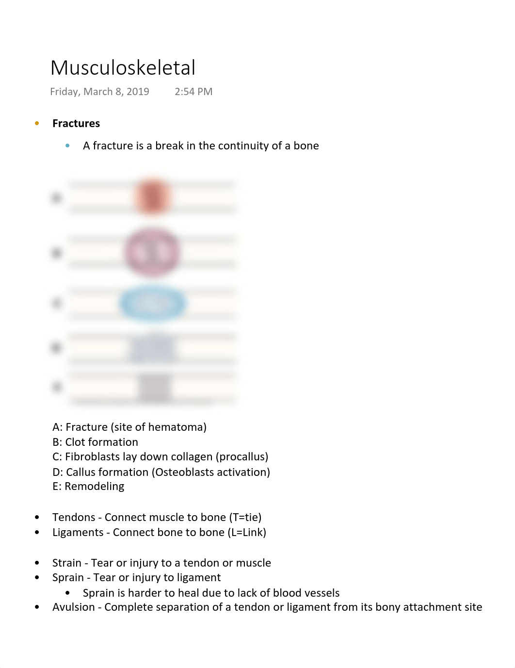 Musculoskeletal .pdf_dr1tgei8jwr_page1