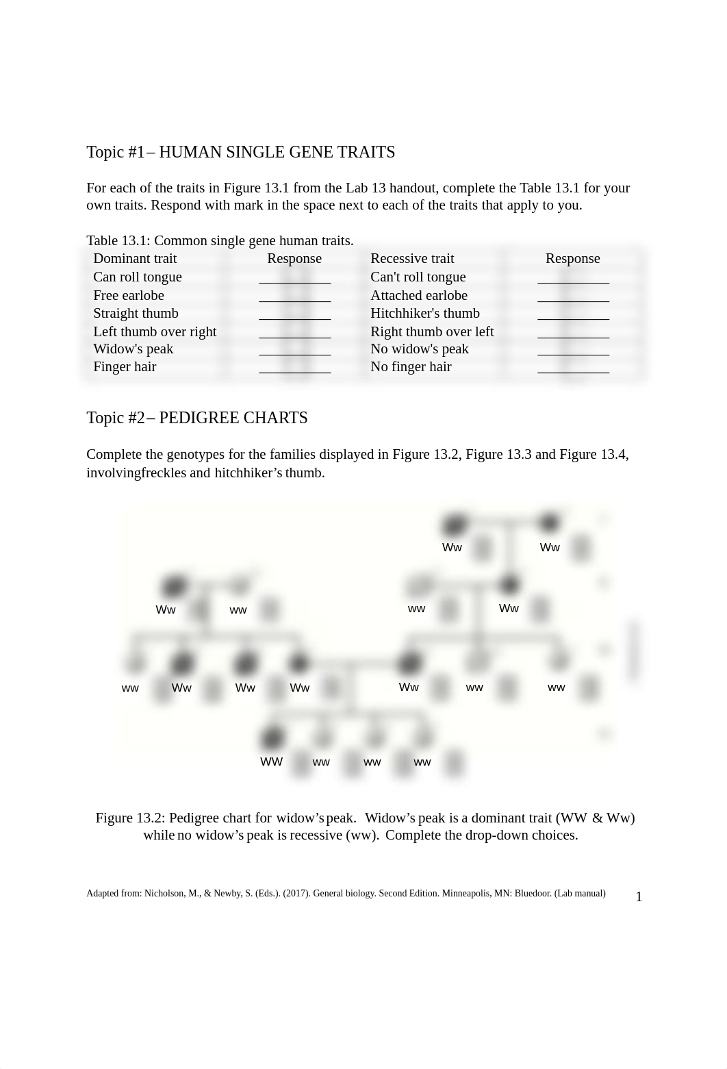 Lab 13 Answer Sheet.pdf_dr20vn2nnbj_page1