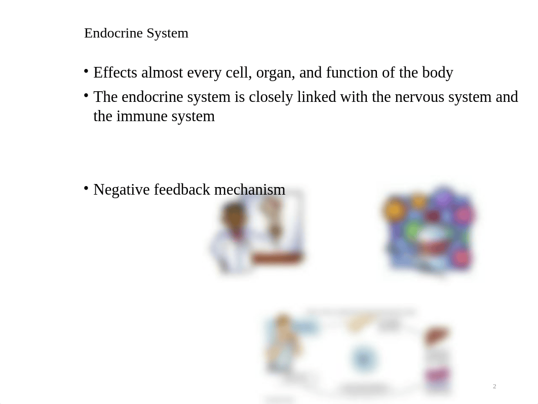 Ch 52 RN Endocrine (Student) REV(7).pptx_dr27ho594ox_page2