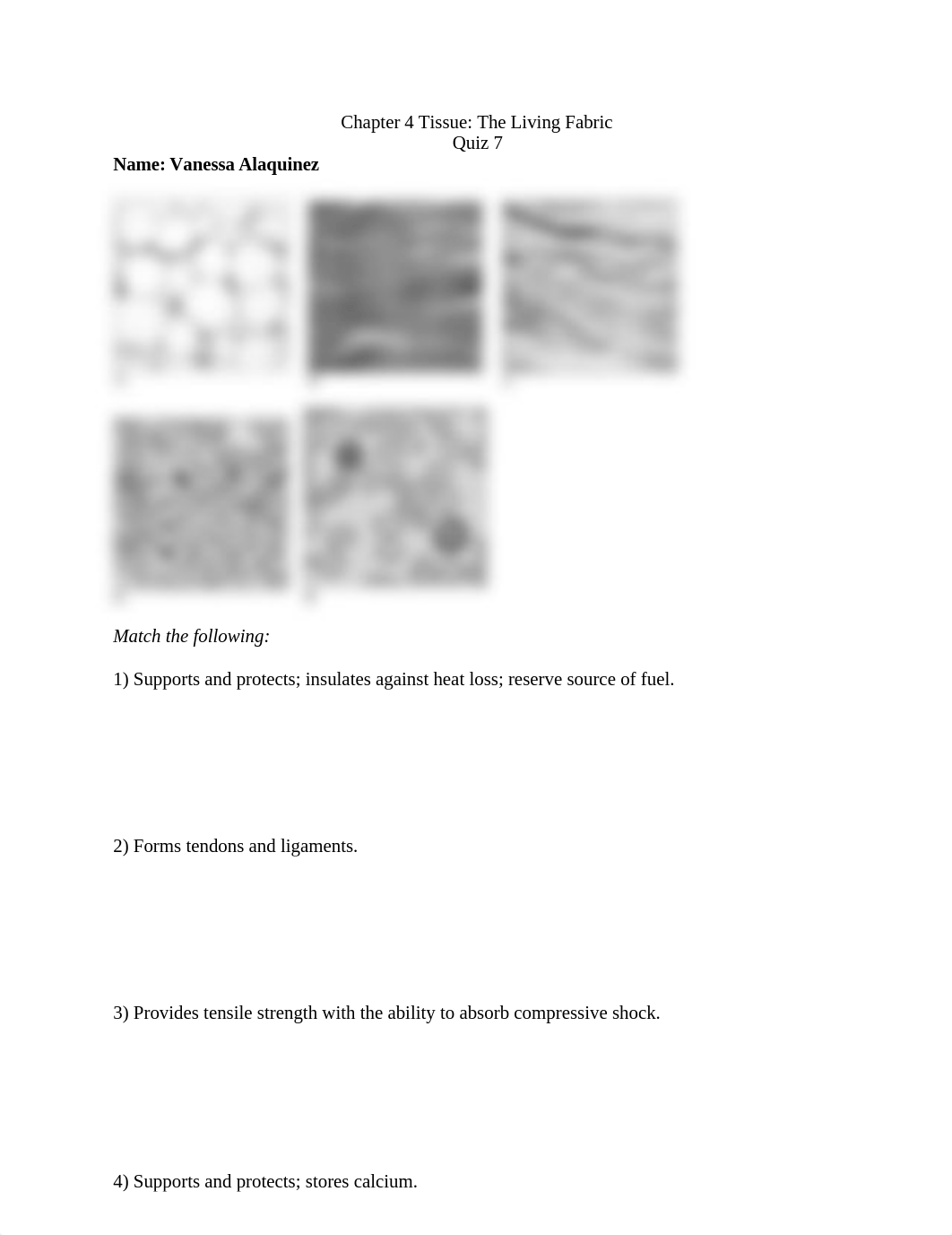 Ch. 4 quiz 7.docx_dr2959tttt9_page1