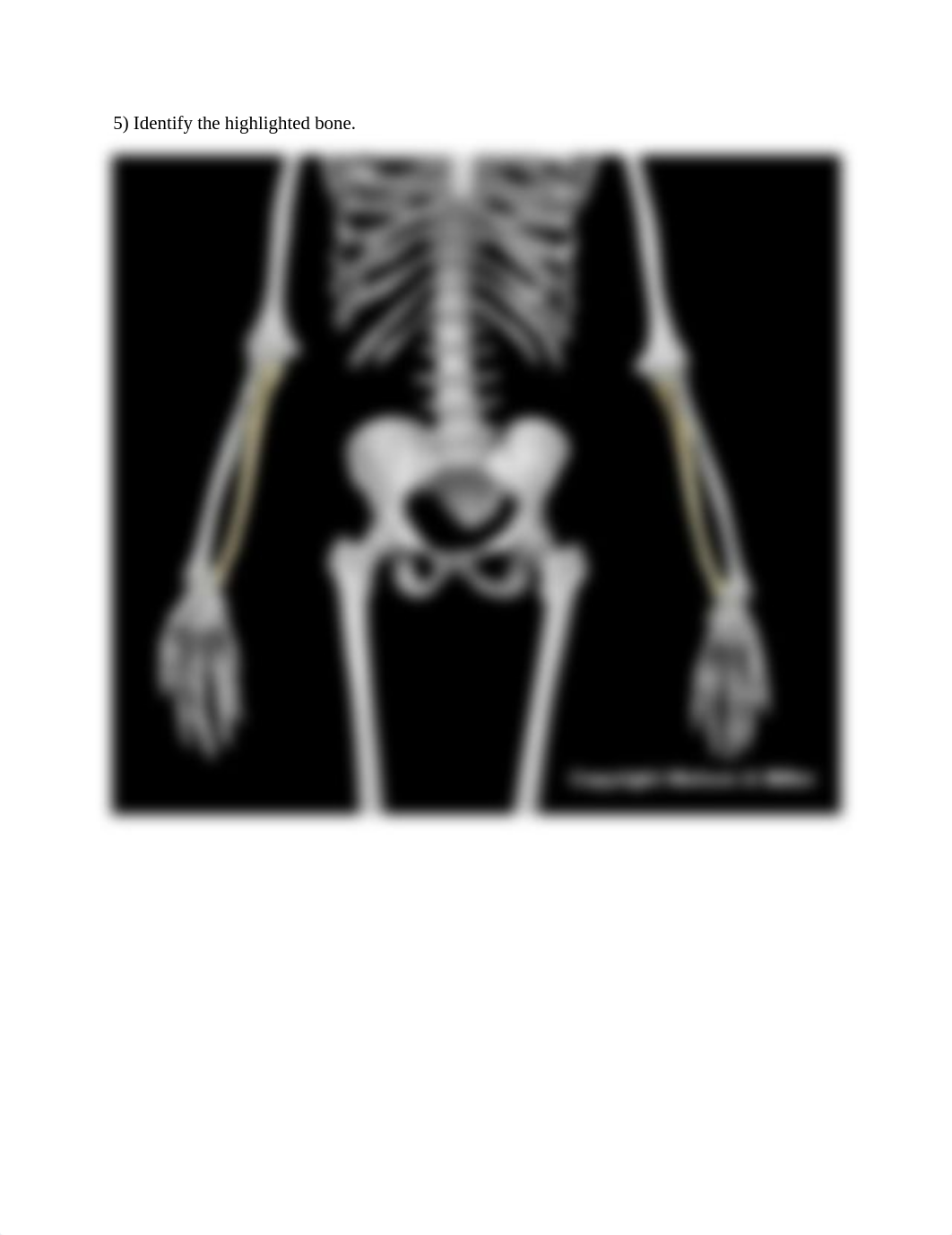 Upper Limb ID worksheet (1).docx_dr2l90mvptv_page5