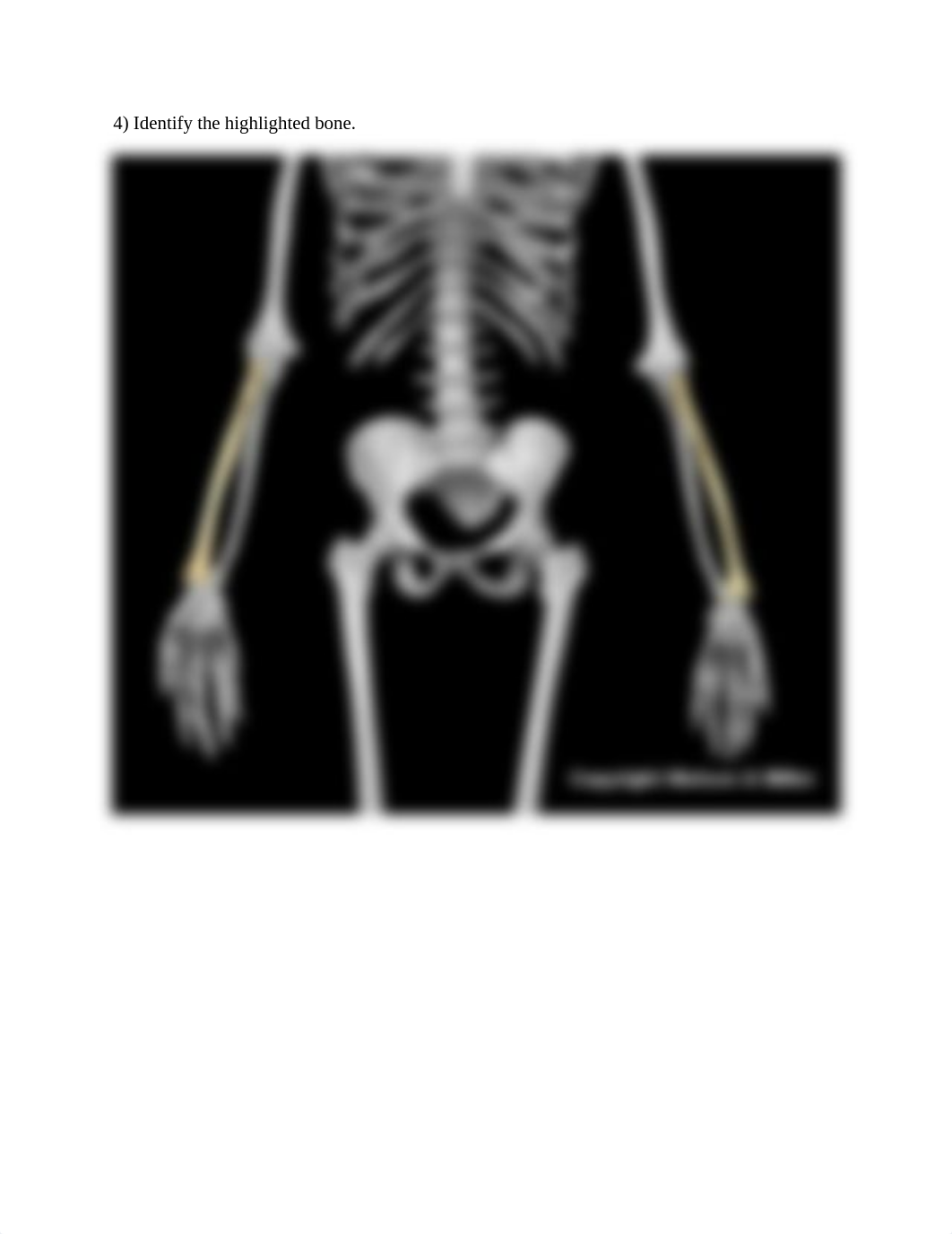 Upper Limb ID worksheet (1).docx_dr2l90mvptv_page4