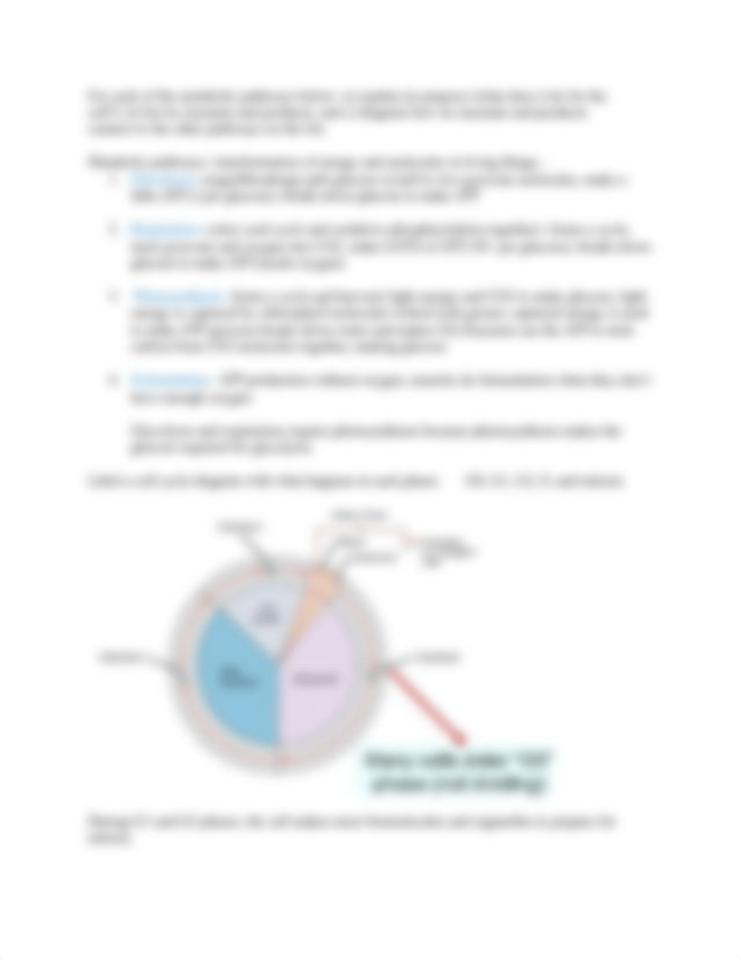 Biol 160 Exam 2 Learning Objectives-BIO160.doc_dr2lcfmrqve_page3